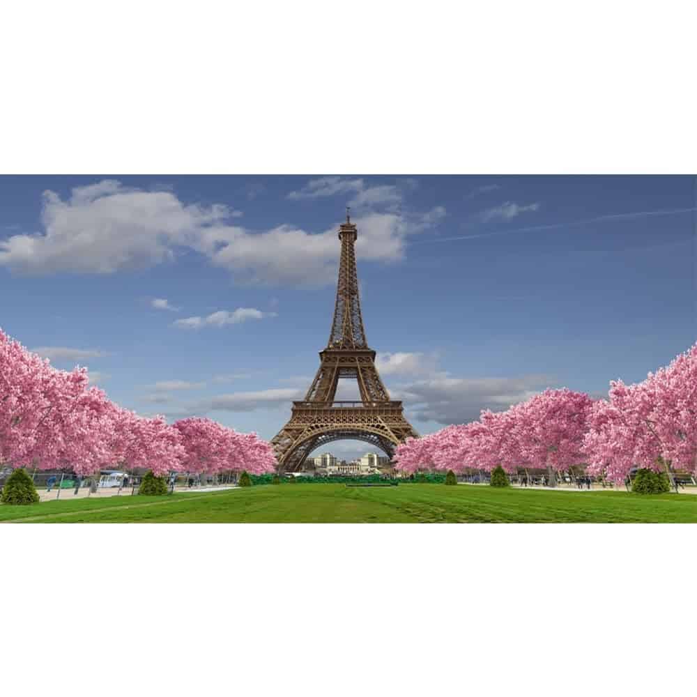 Leyiyi 20x10ft Fondo de Torre Eiffel Pasto de Flores Rosas