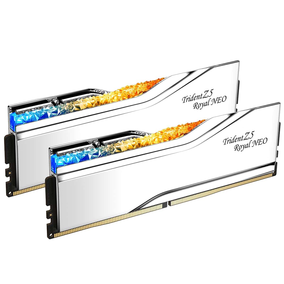 Memoria RAM DDR5 G.SKILL Trident Z5 Royal Neo -Silver