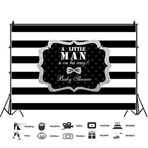 Fondo de 9x6 pies para Baby Shower en Plata para un Pequeño - Imagen 4
