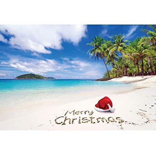 DASHAN 10x6.5ft Merry Christmas Backdrop Tropical Sandy