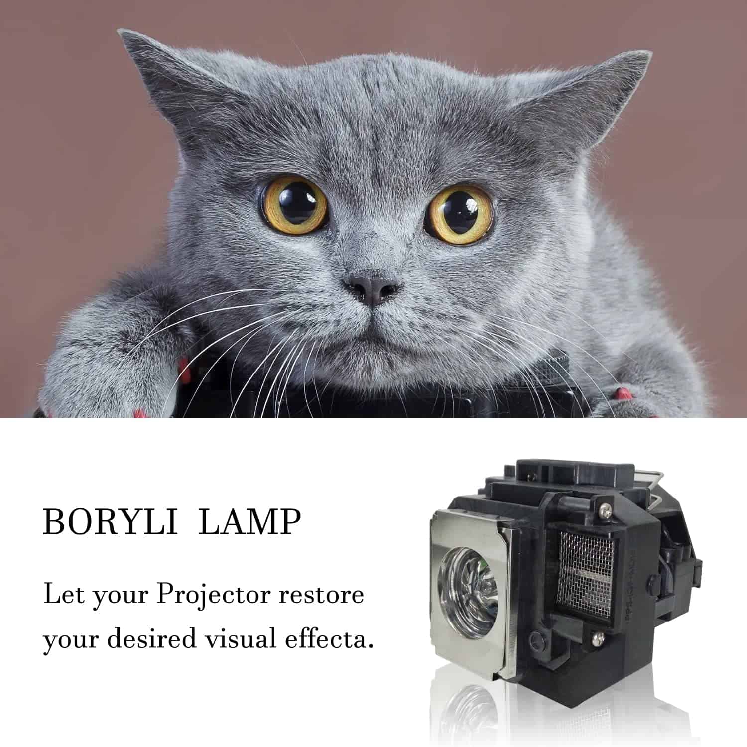 Lámpara de Proyector BORYLI para EPLP54 PowerLite Home - Image 4