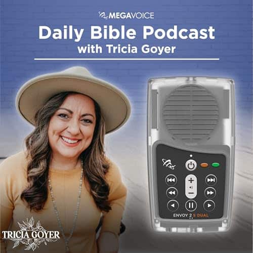 Reproductor de Audio de la Biblia Solar Portátil con la - Image 3