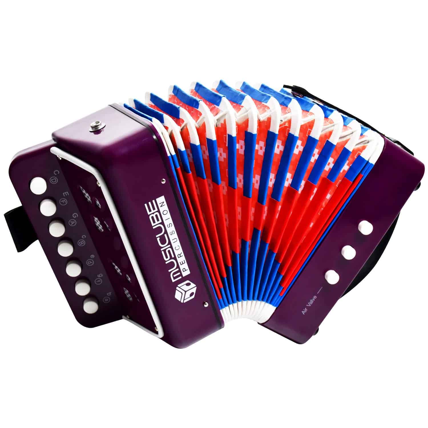 Acordeón de Juguete para Niños Instrumento Musical 10