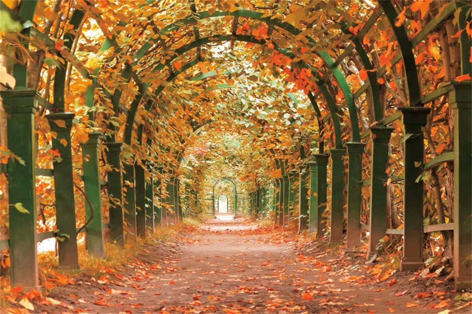 Fondos de Otoño de Vinilo 10x8ft para Fotografía Túnel de – Lapson México, image size:1500x1000