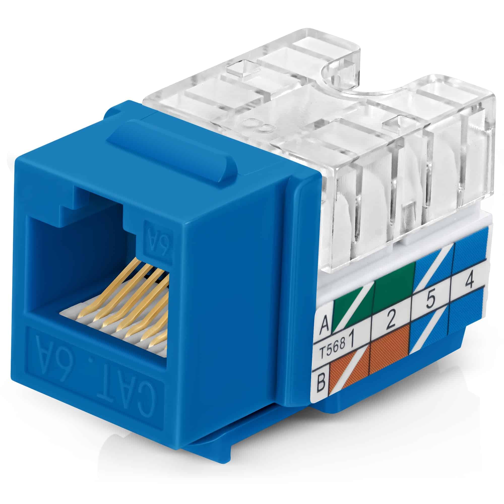 Conjunto de 50 Jacks cónicos Cat6A Everest de 90° en Azul -