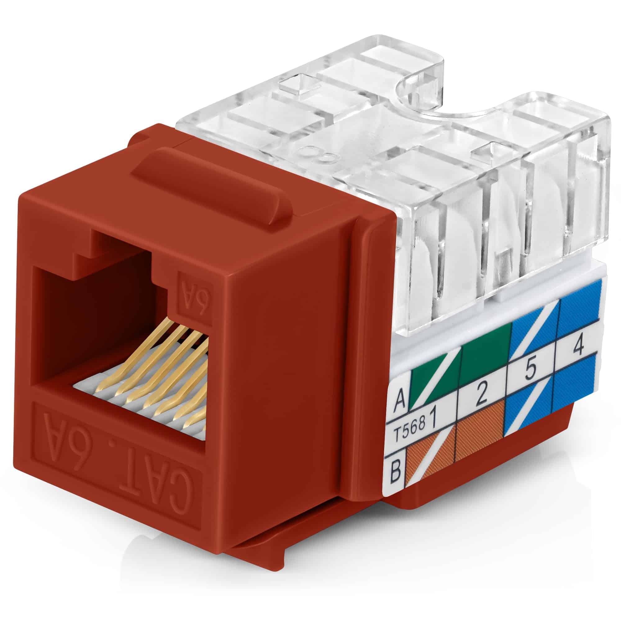 Everest 90� Angled RJ45 Cat6A Keystone Jacks 50-Pack en