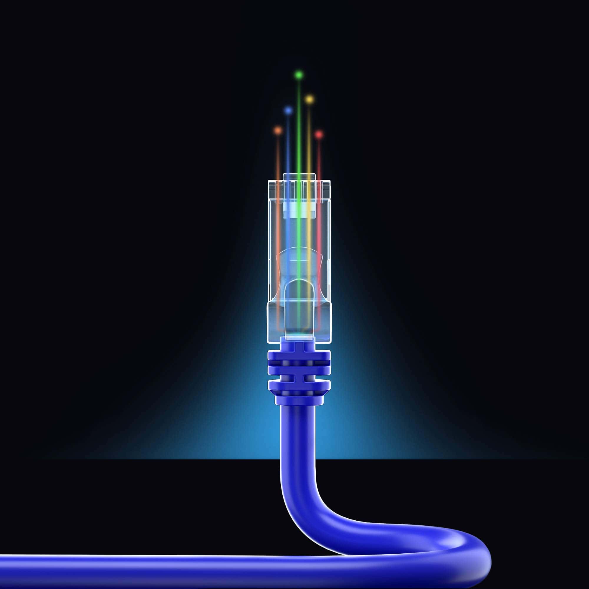 Cable de Ethernet Maximm Cat 6 - 1.5 pies (Paquete de 50) - - Image 9