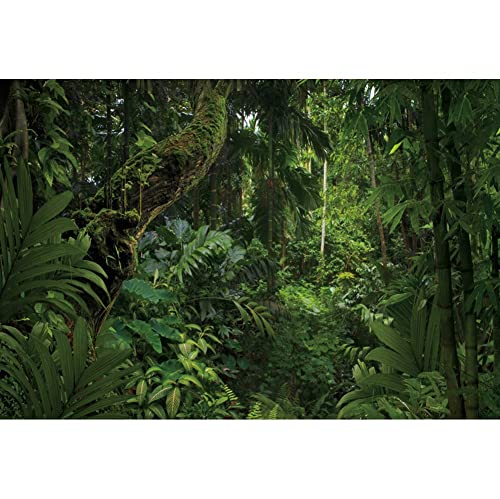 DORCEV 15x10ft Telón de Fondo de Fotografía de Selva para