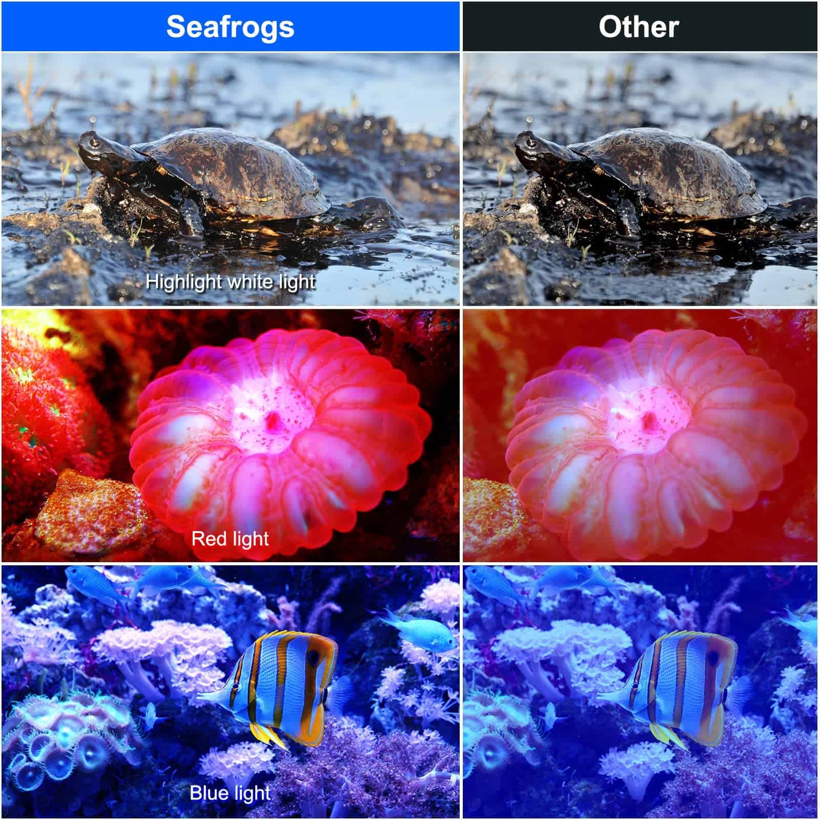 Seafrogs Luz de Video para Buceo Resistente al Agua - Image 9