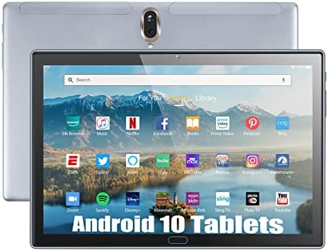 Tablet ZAOFEPU N10 10” 2GB RAM 32GB ROM WiFi -Gris