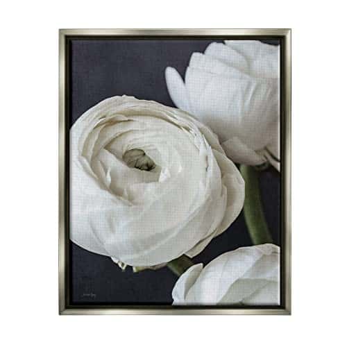Stupell Industries Budding Ranunculus Flower Blooming Close