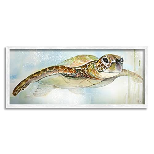 Stupell Industries Cuadro enmarcado de Tortuga Marina