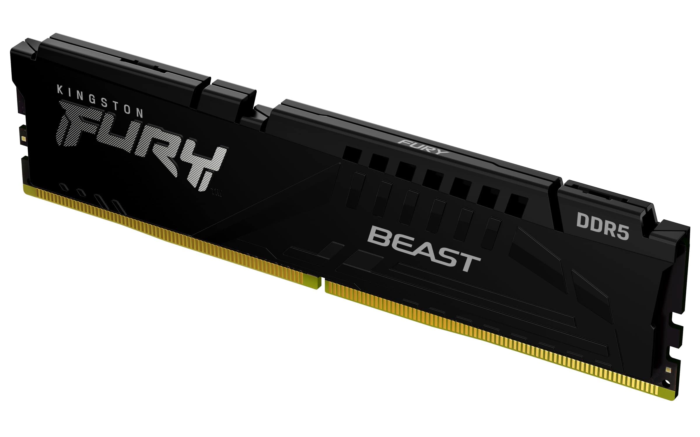 Kingston Technology Fury Beast 8GB 6000MT/s DDR5 CL36
