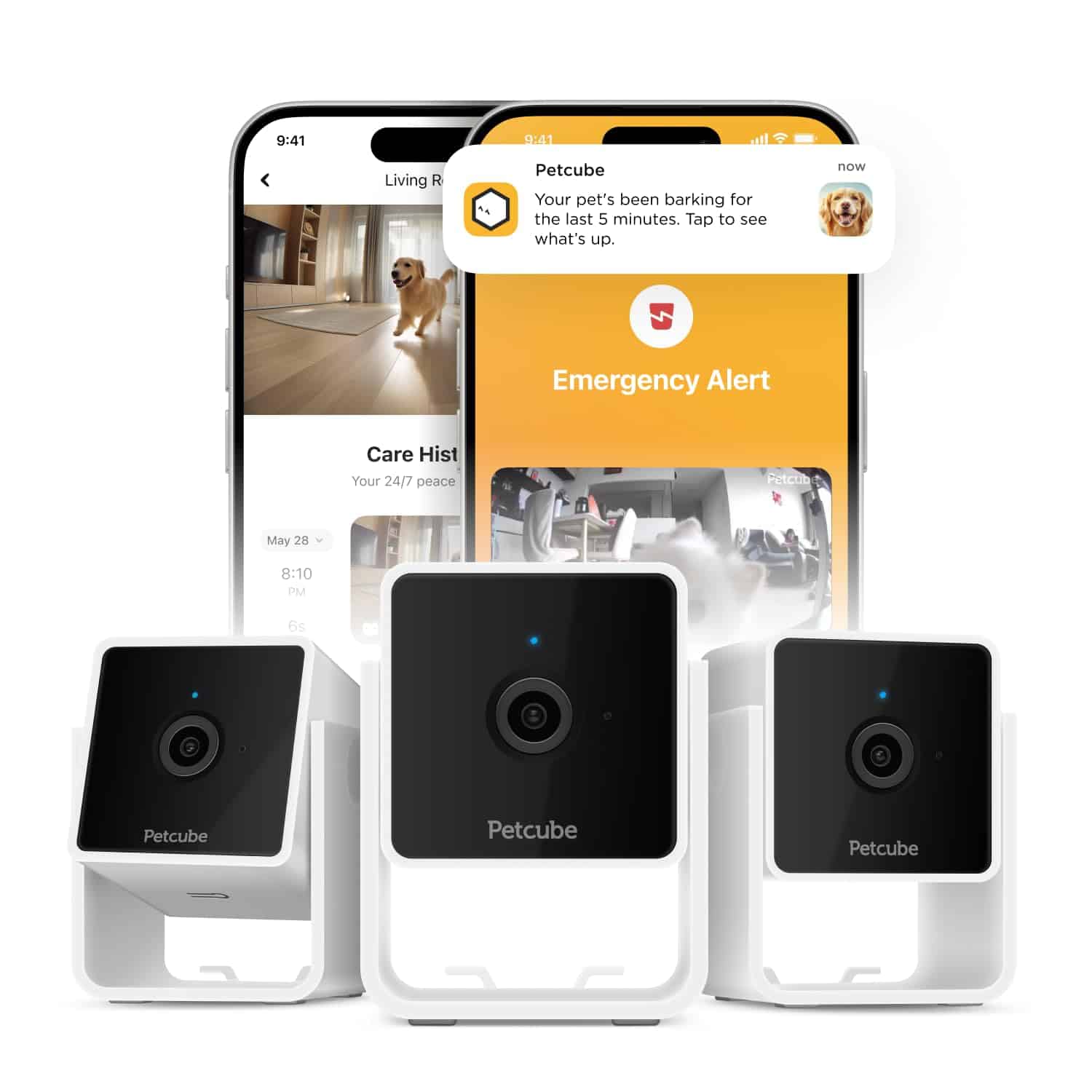 Pack de 3 cámaras de seguridad para el hogar Petcube Cam