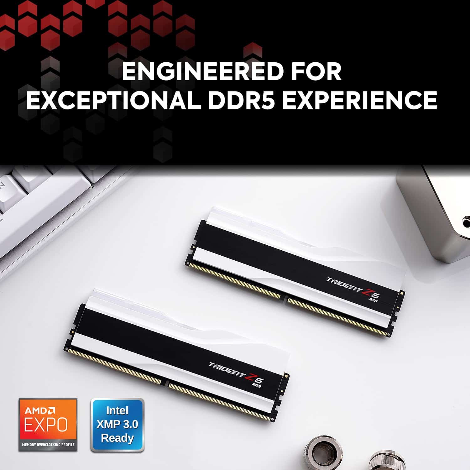 Memoria RAM DDR5 G.SKILL Trident Z5 RGB -Blanco - Image 3