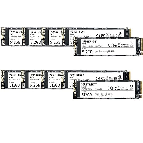 Memoria de Estado Solido Patriot P300 512GB PCle 10 Pzs