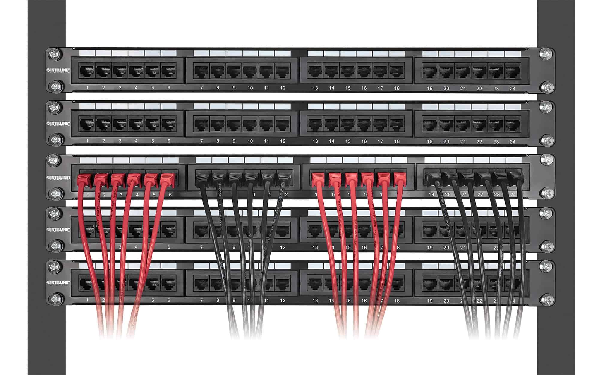 Intellinet Cable de Red Ethernet Cat6 Delgado - Paquete de - Image 5